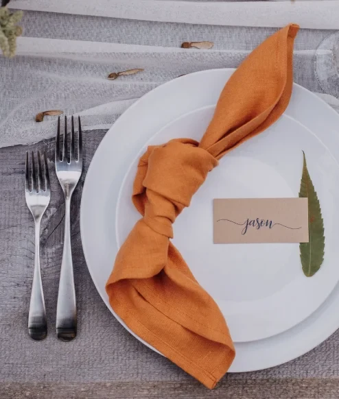 Orange Organic Napkins