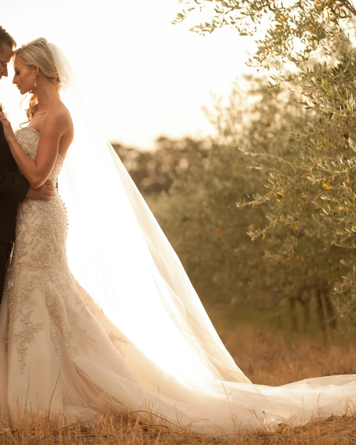 ABRI Kruger Photography — photograph 4