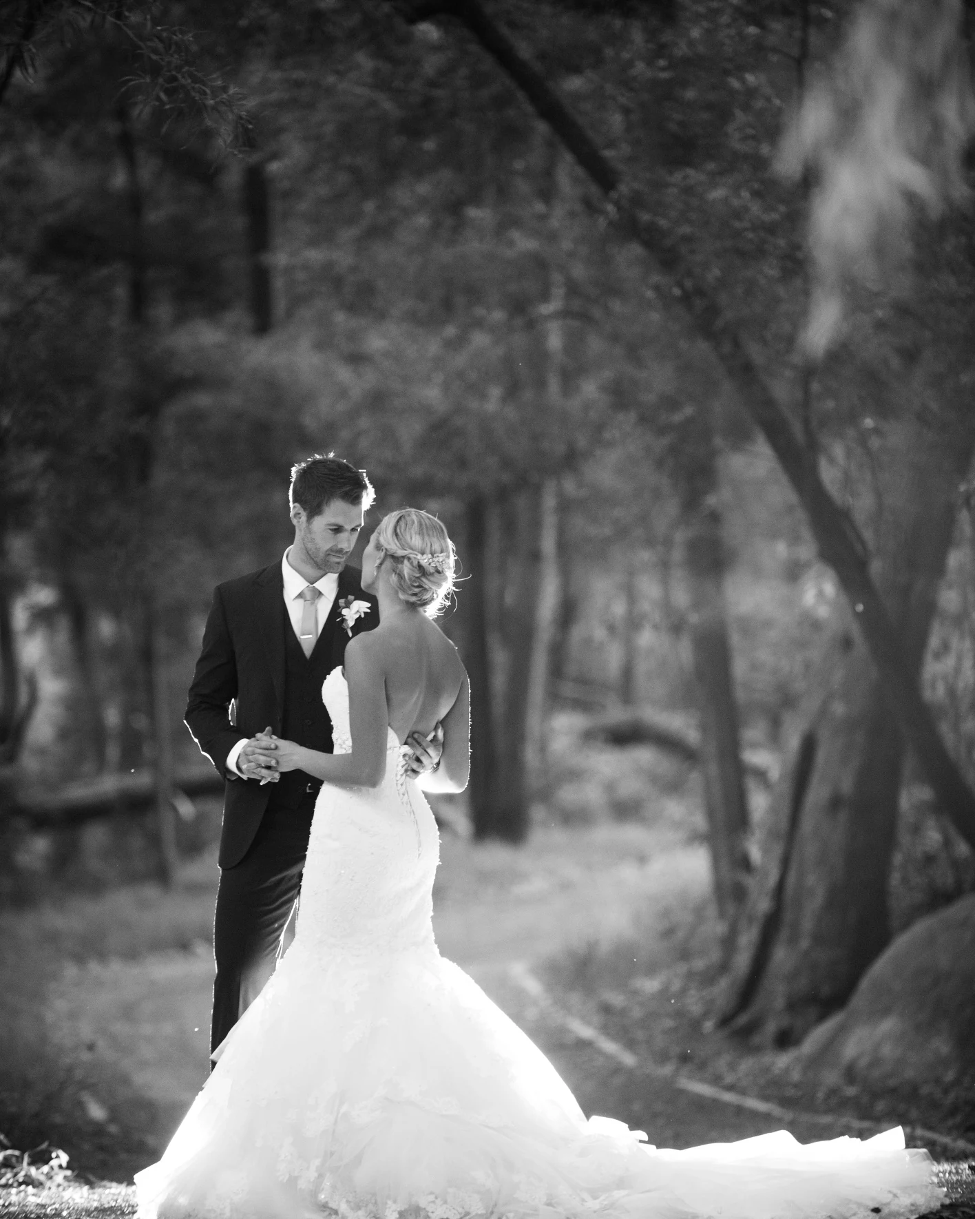 ABRI Kruger Photography — photograph 2