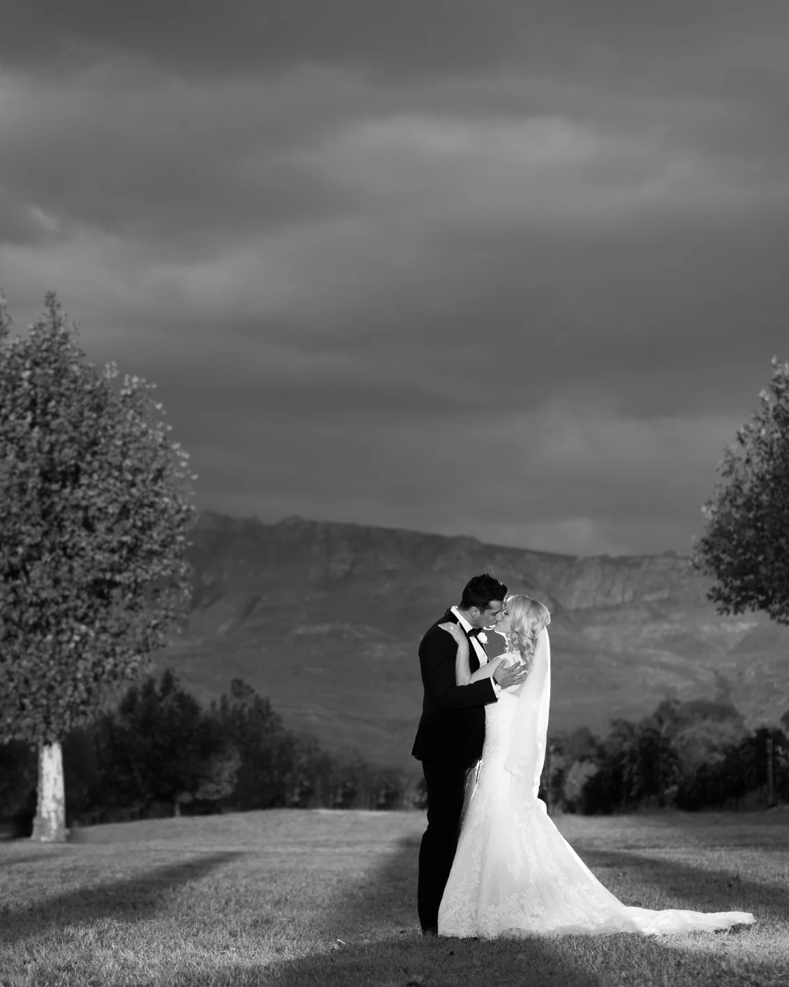ABRI Kruger Photography — photograph 3