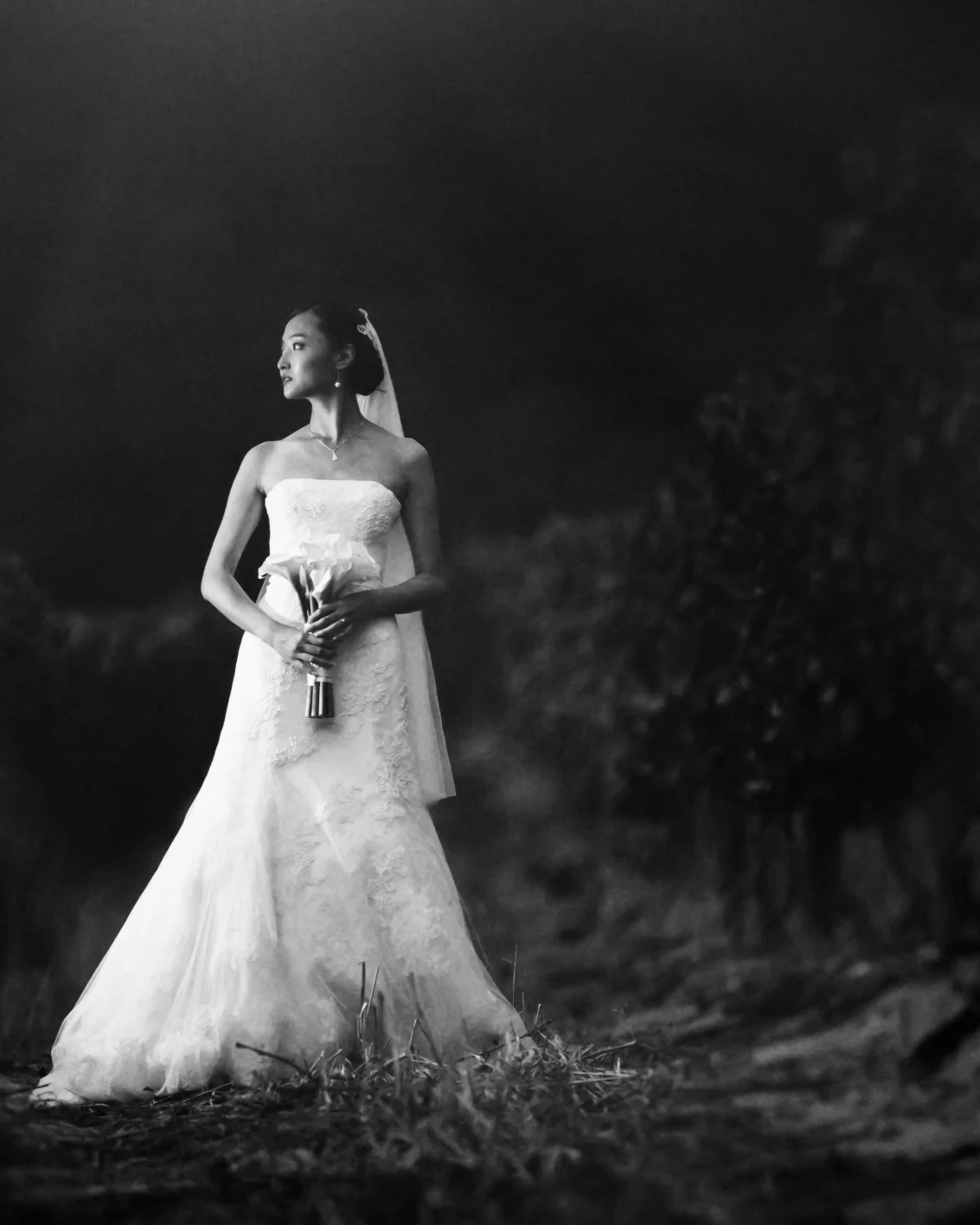 ABRI Kruger Photography — photograph 1