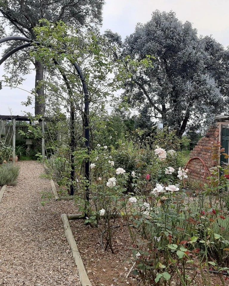 AmaCasa Cottages — photograph 4