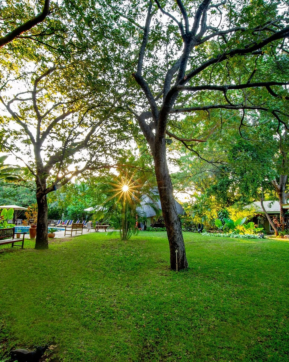 Bayete Guest Lodge — photograph 4