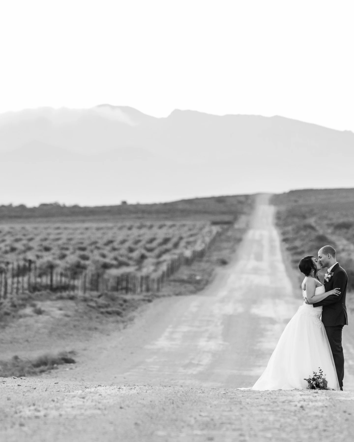 Bon Cap Winery — photograph 2
