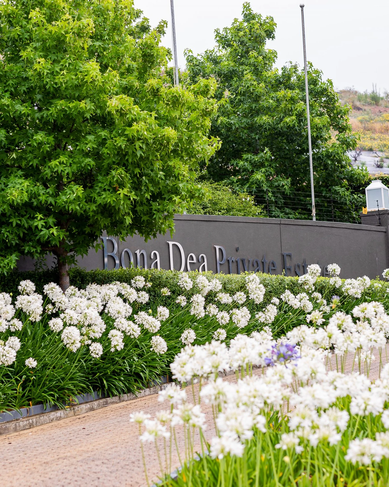 Bona Dea Private Estate — photograph 4