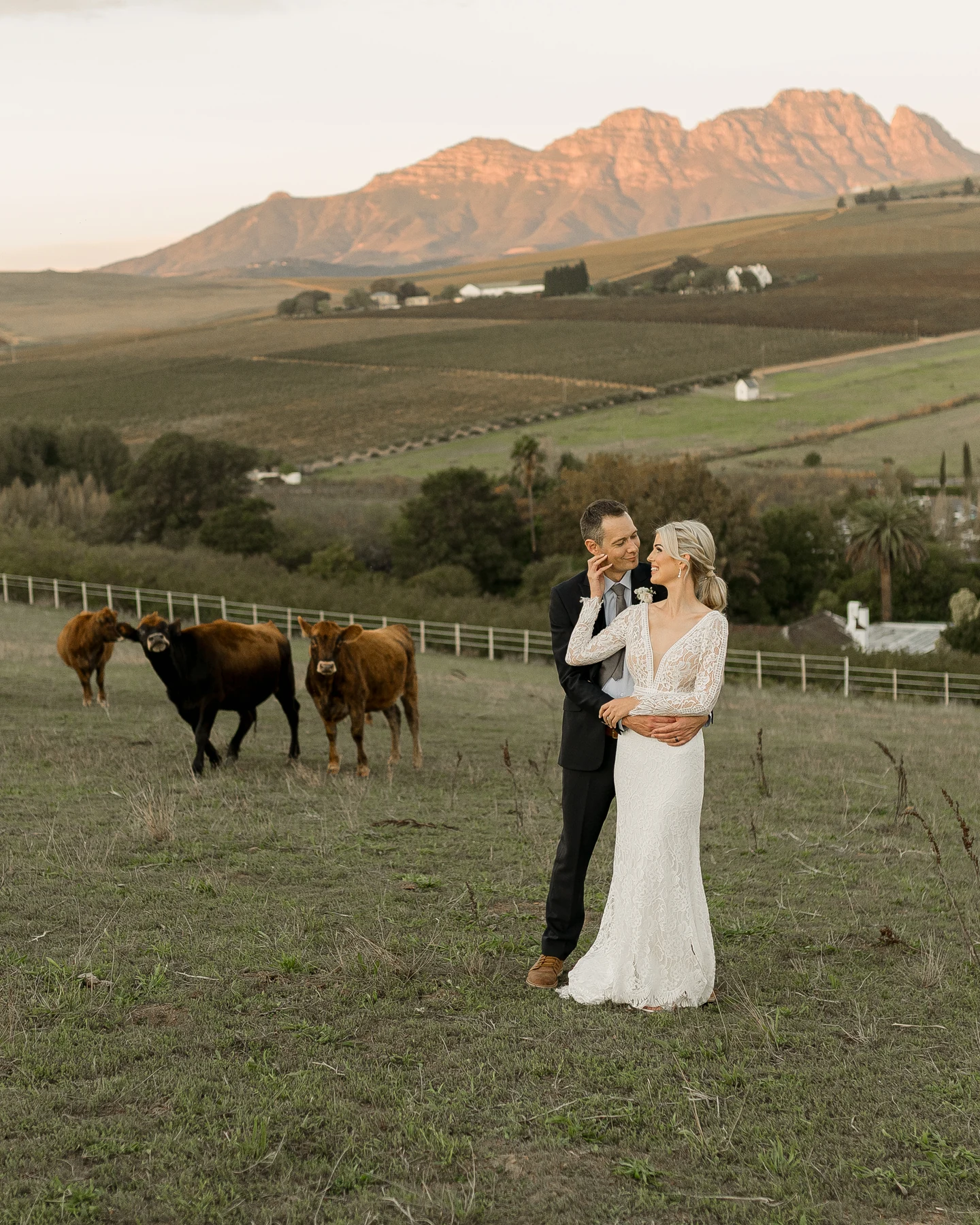 Brenaissance Wine & Stud Estate — photograph 4