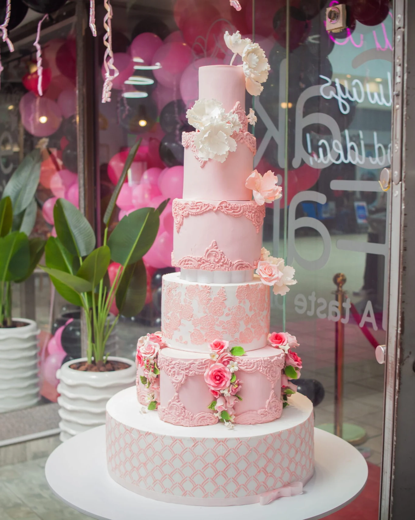 Cake Fairy Zim — photograph 3