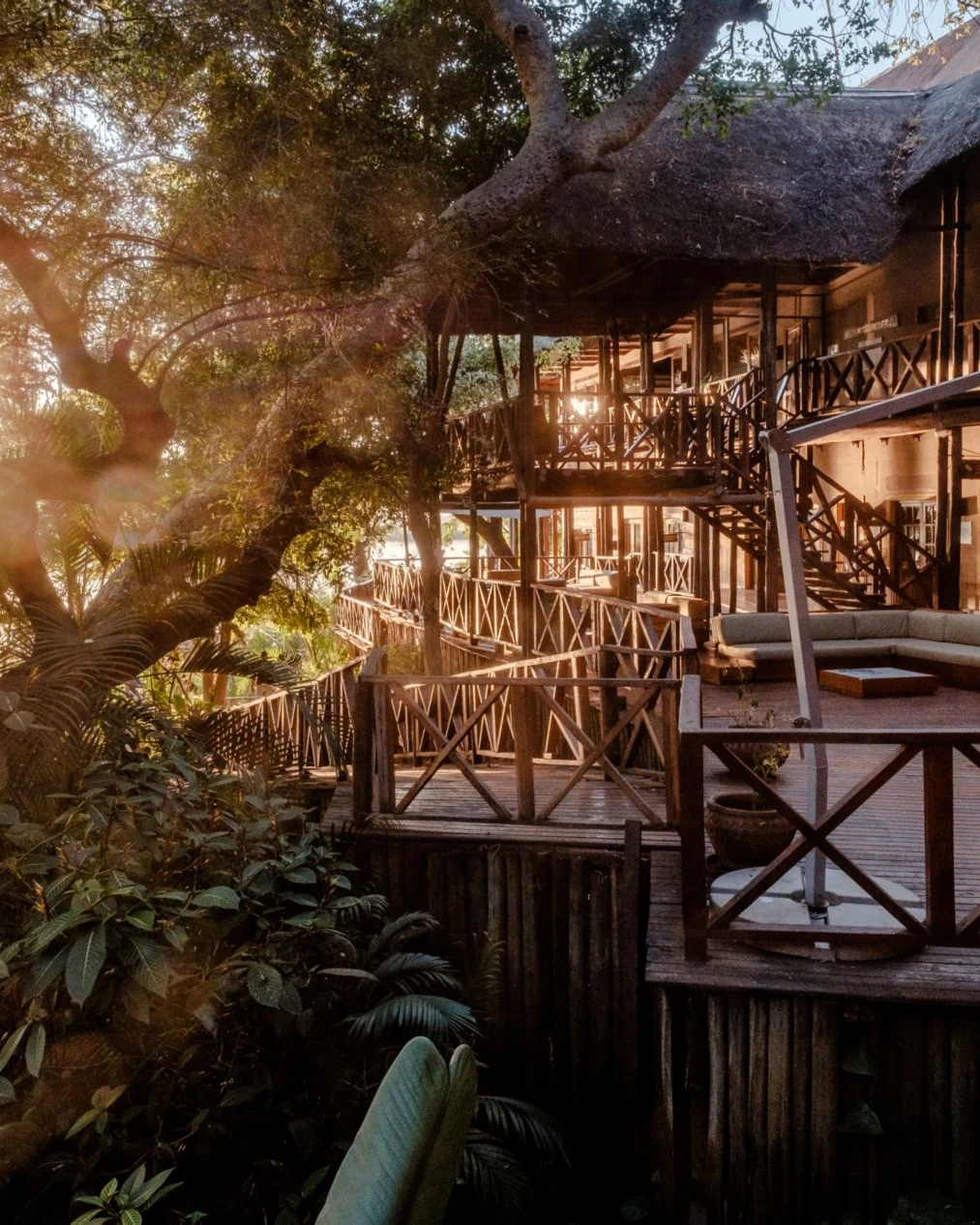 Chobe Marina Lodge — photograph 2