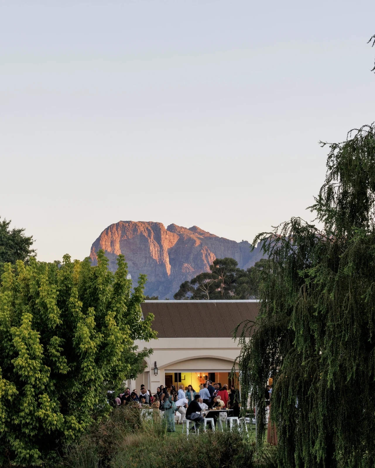Dawn Mountains Estate — photograph 4