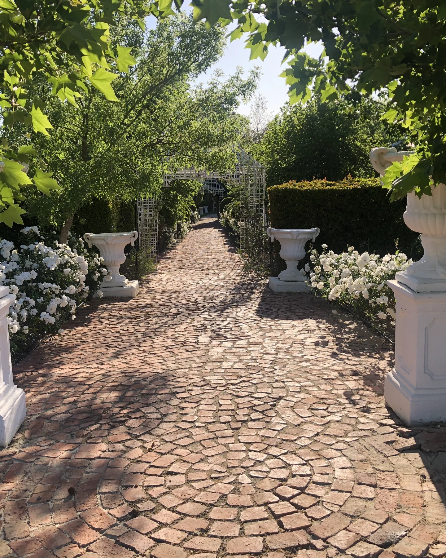 Domaine Brahms — photograph 4