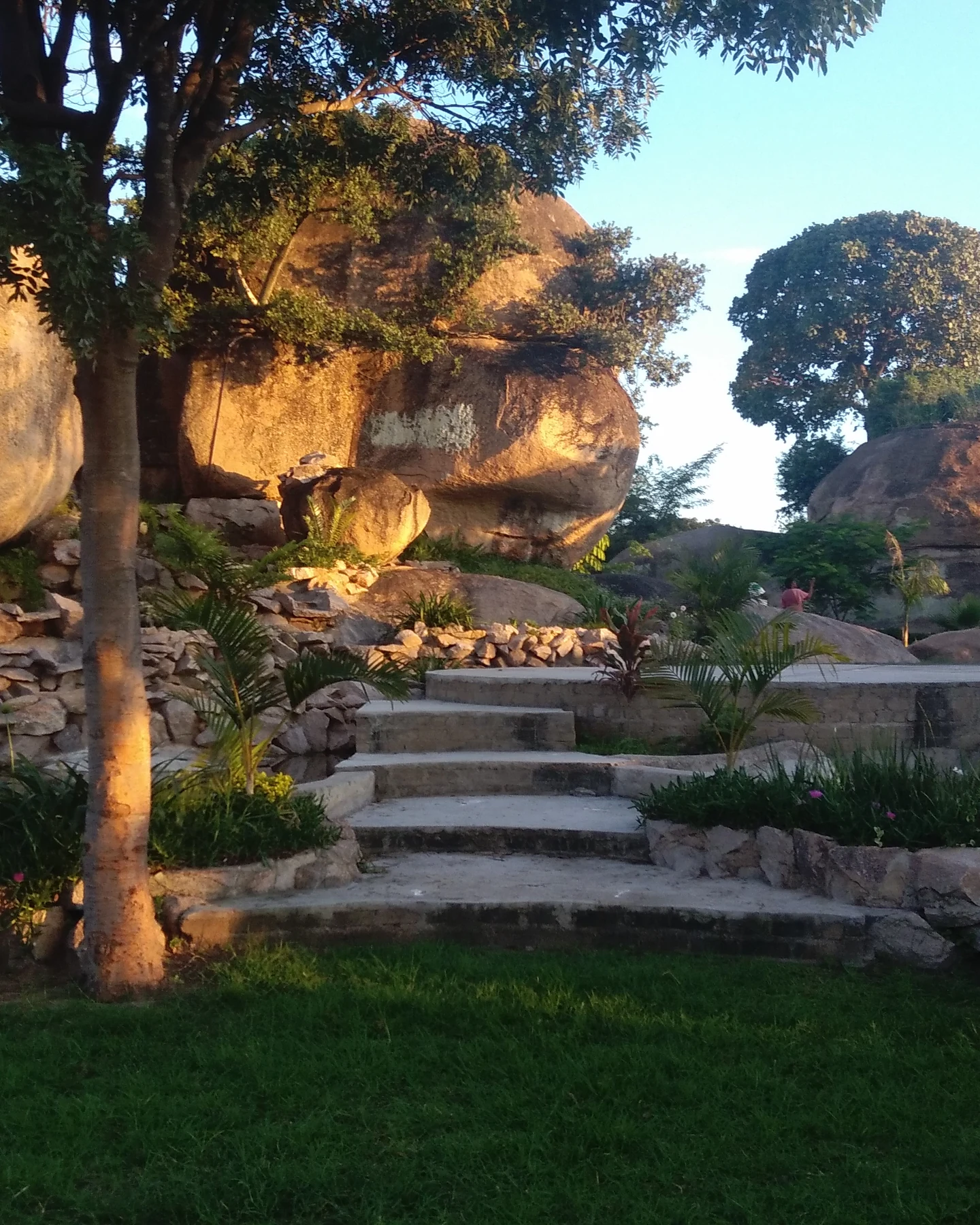 Ebenezer Palm Tree Gardens — photograph 4