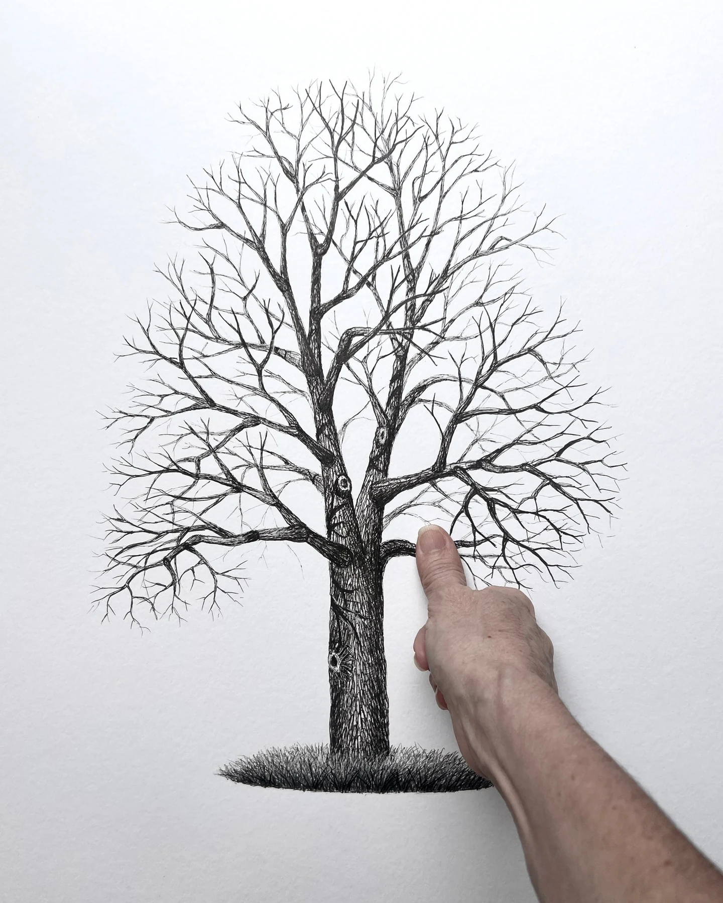 Fingerprint trees guestbook — photograph 4