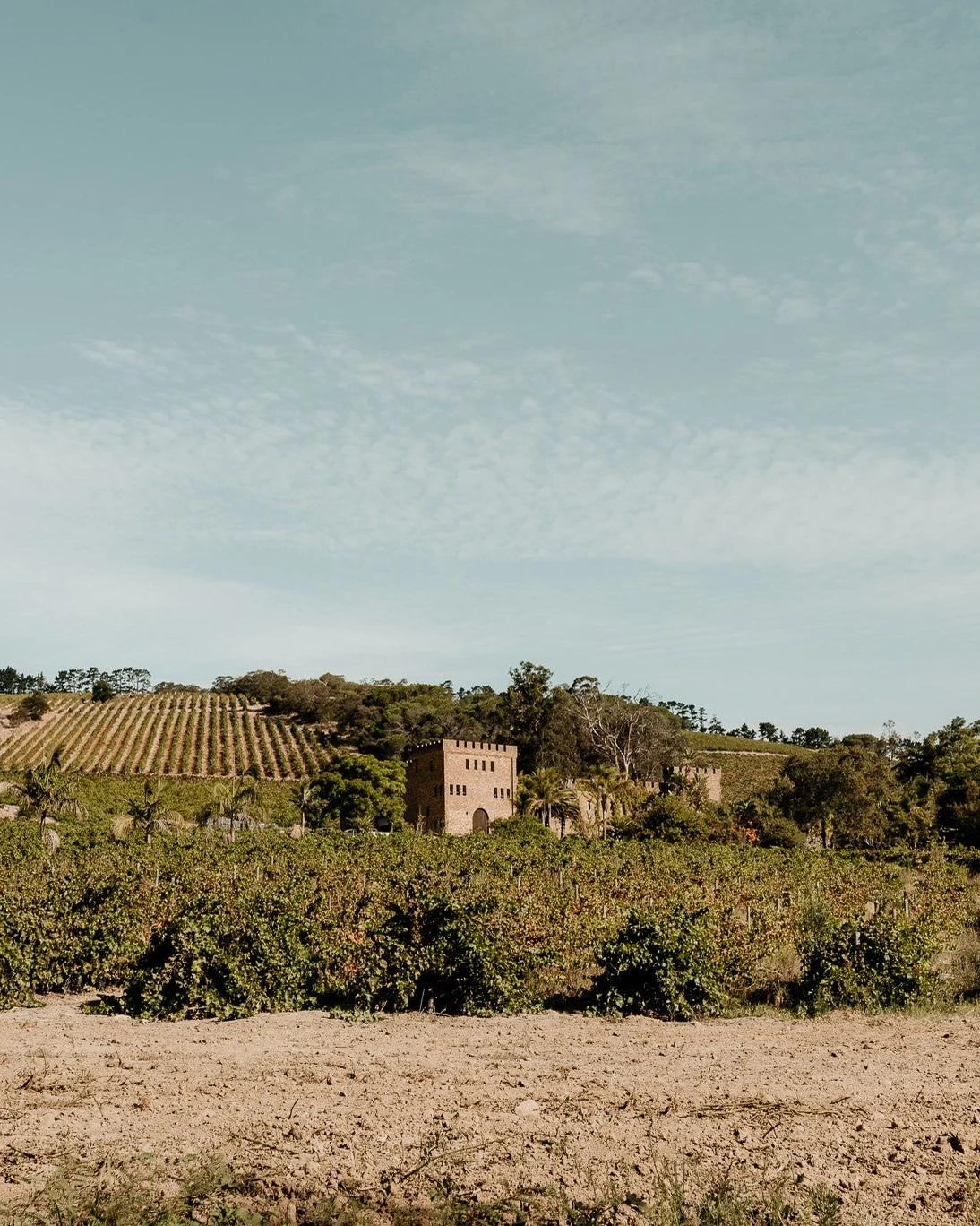 Fort Simon Wine Estate — photograph 2
