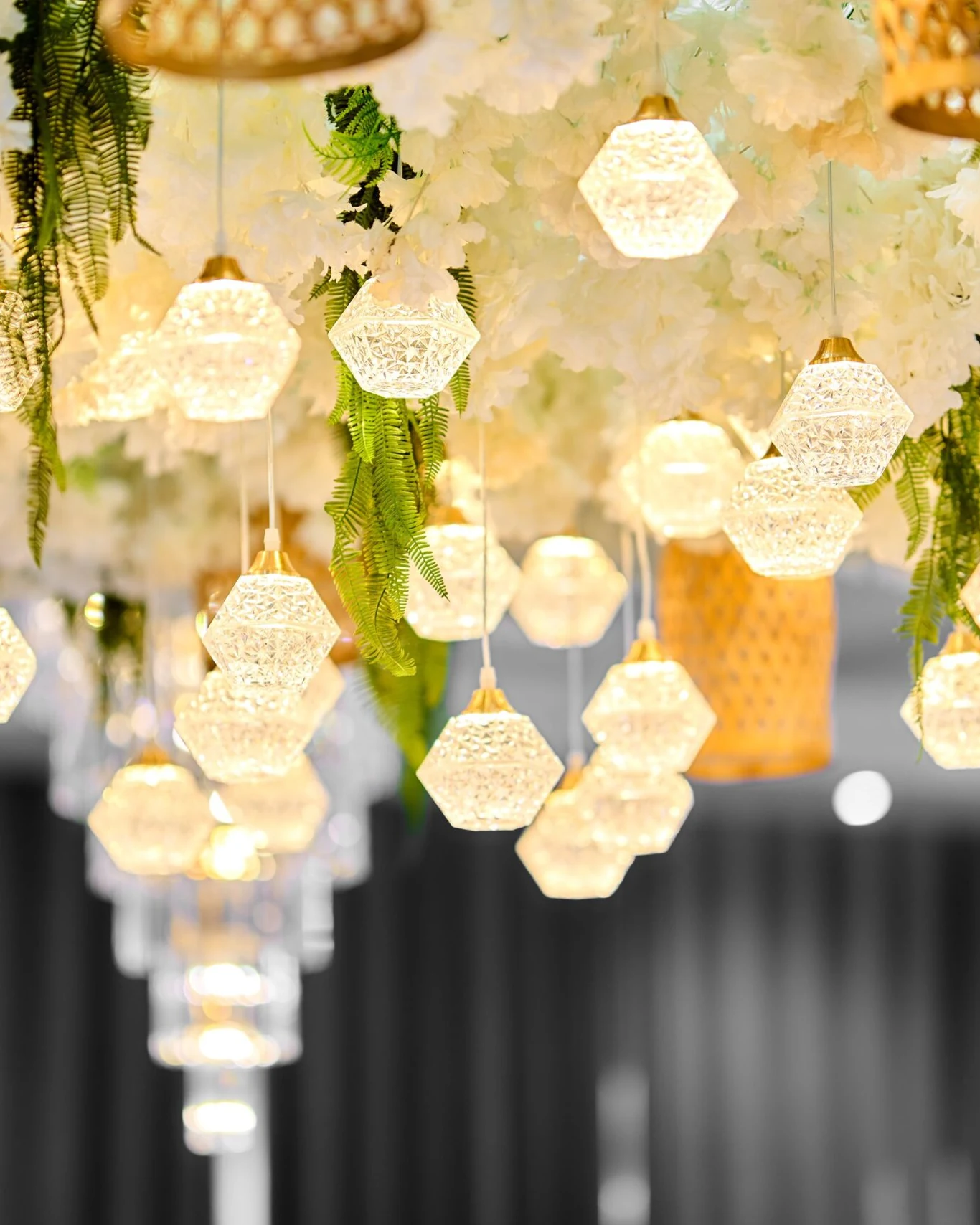 Golden Conifer Venue — photograph 4