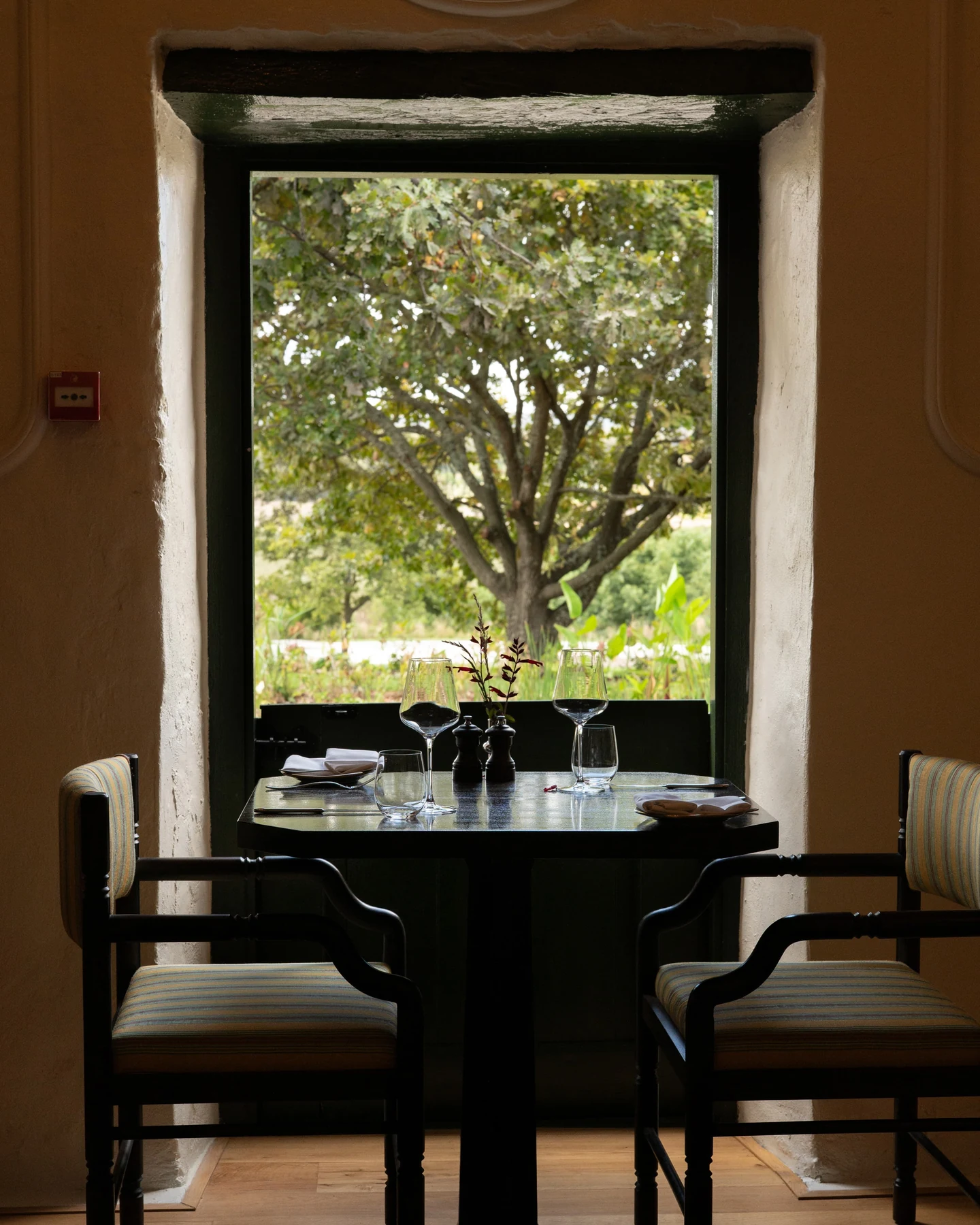 Hazendal Wine Estate — photograph 4