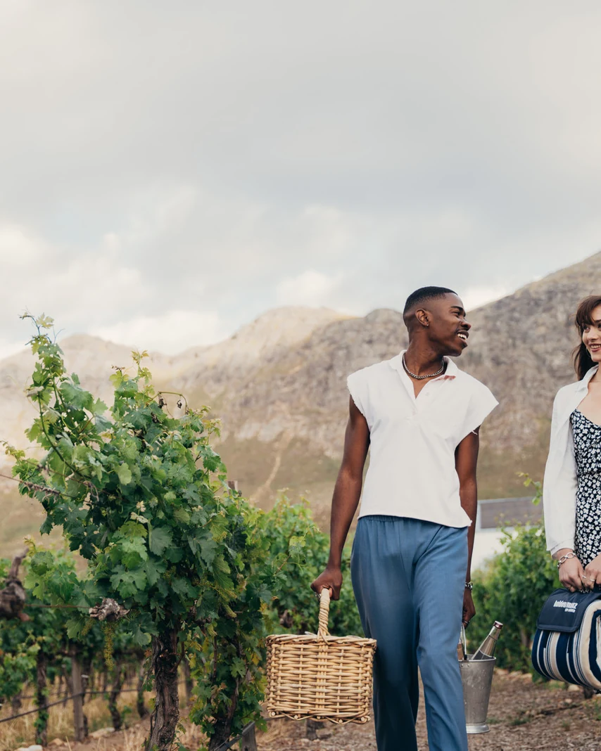 Holden Manz Wine Estate — photograph 4