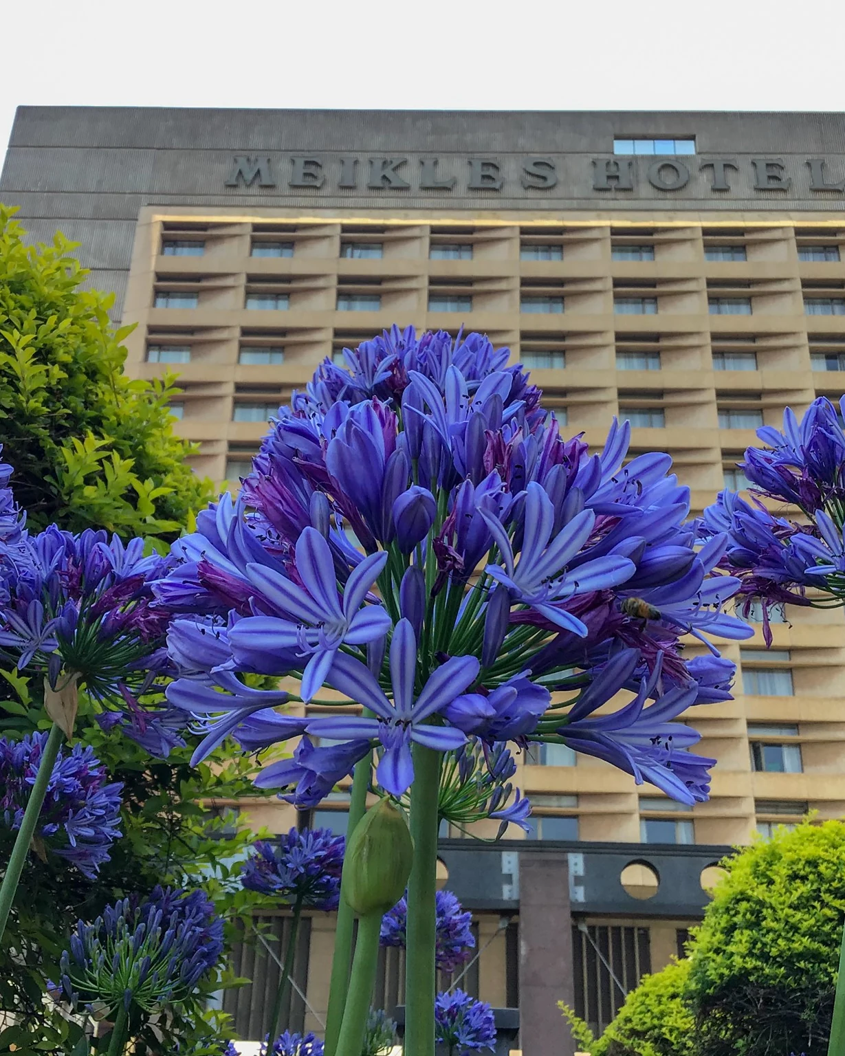 hyatt Hotel — photograph 1