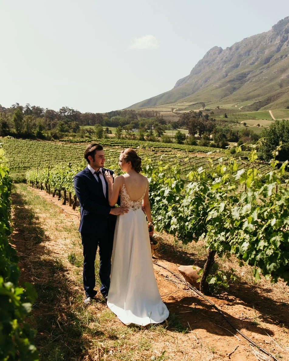 Le Pommier Wine Estate — photograph 1