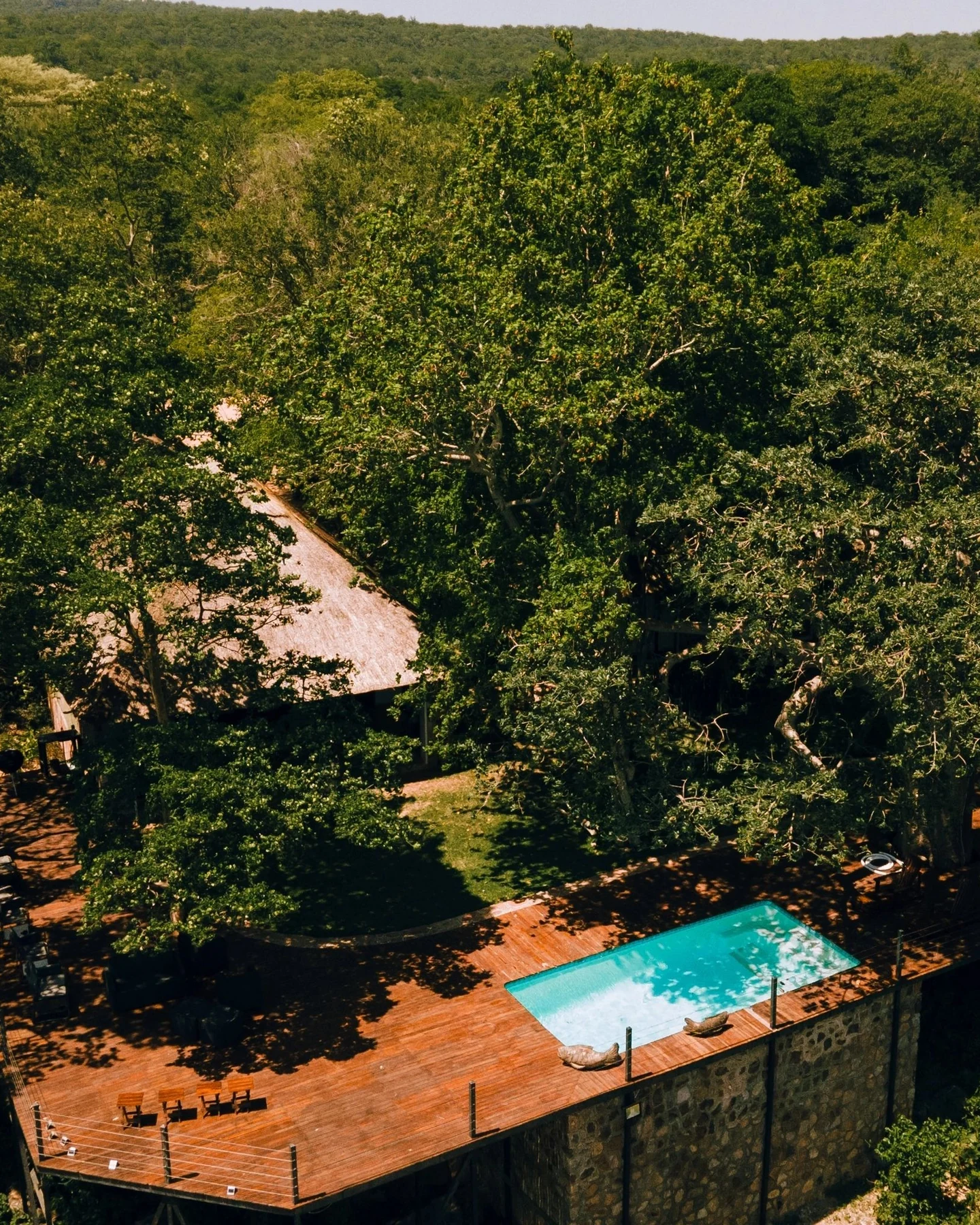 Masumu River Lodge — photograph 2