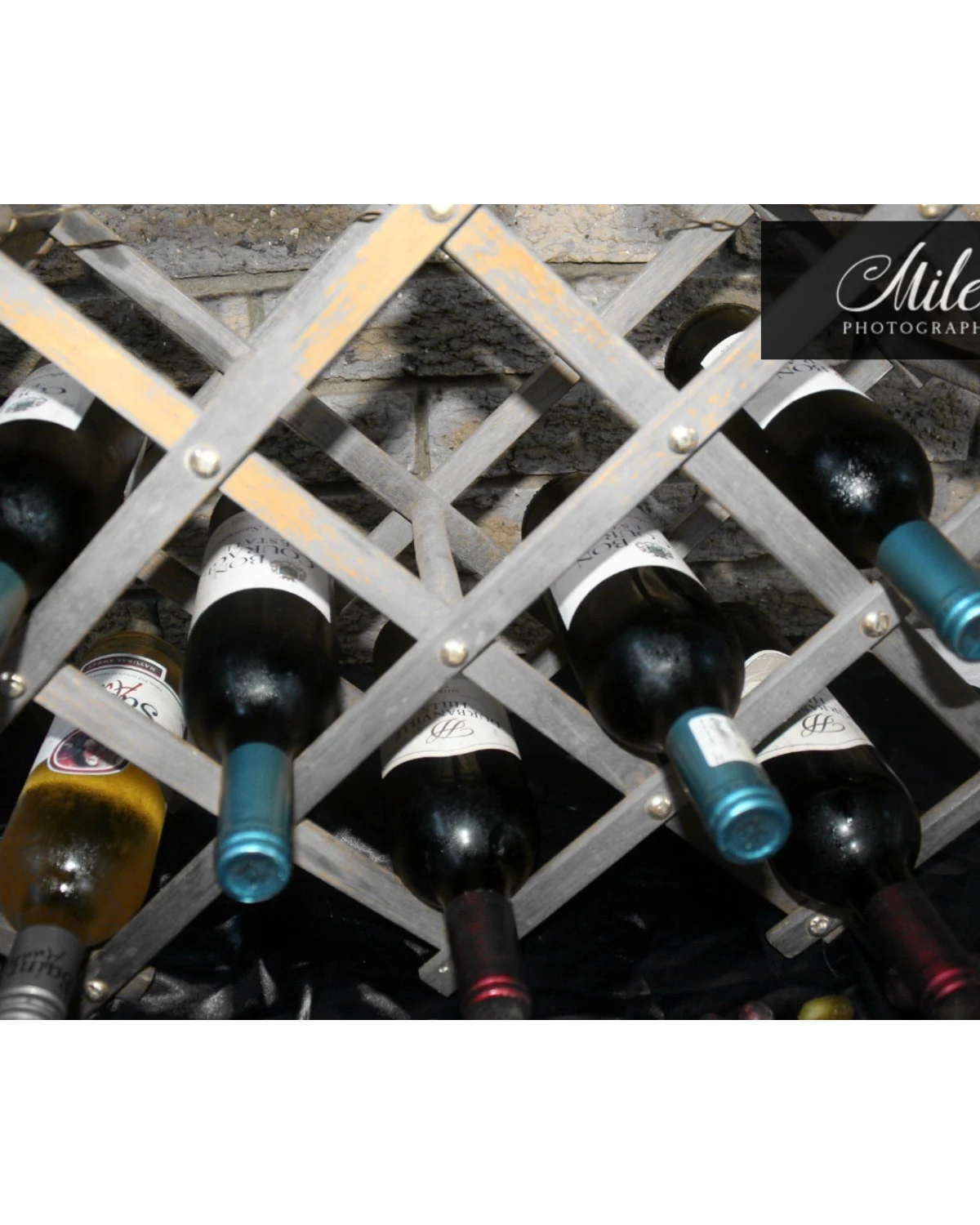 Miles Photography — photograph 3