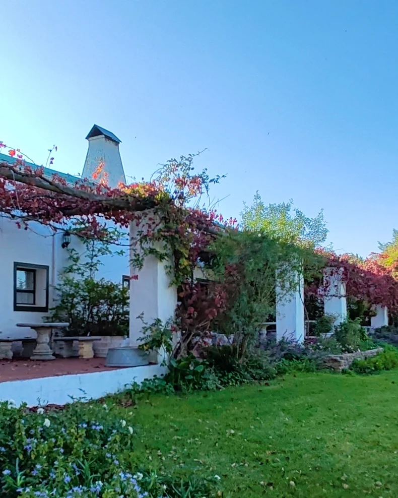 Muldersvlei Estate – Wedding Venue — photograph 1