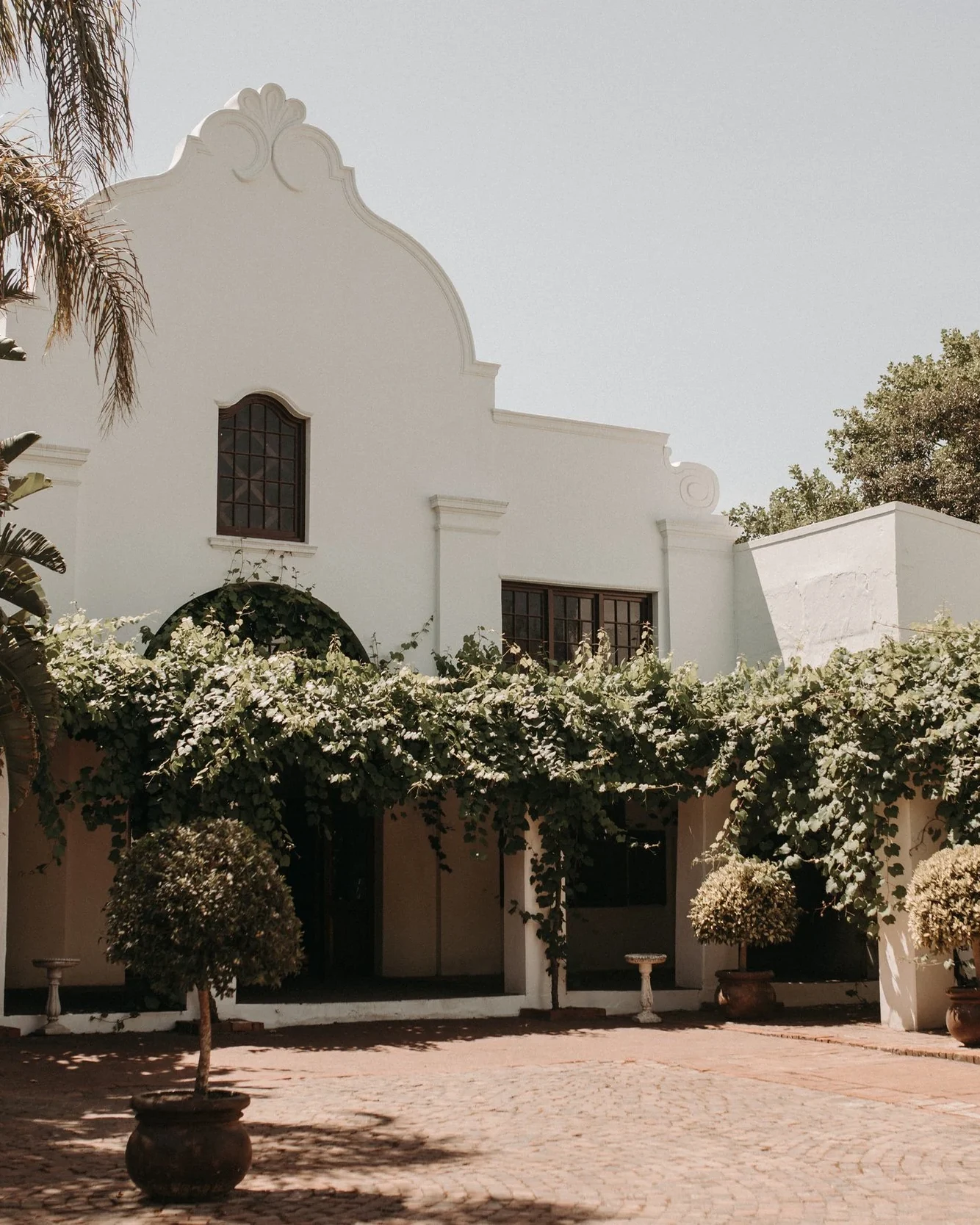 Nooitgedacht Wine Estate — photograph 2