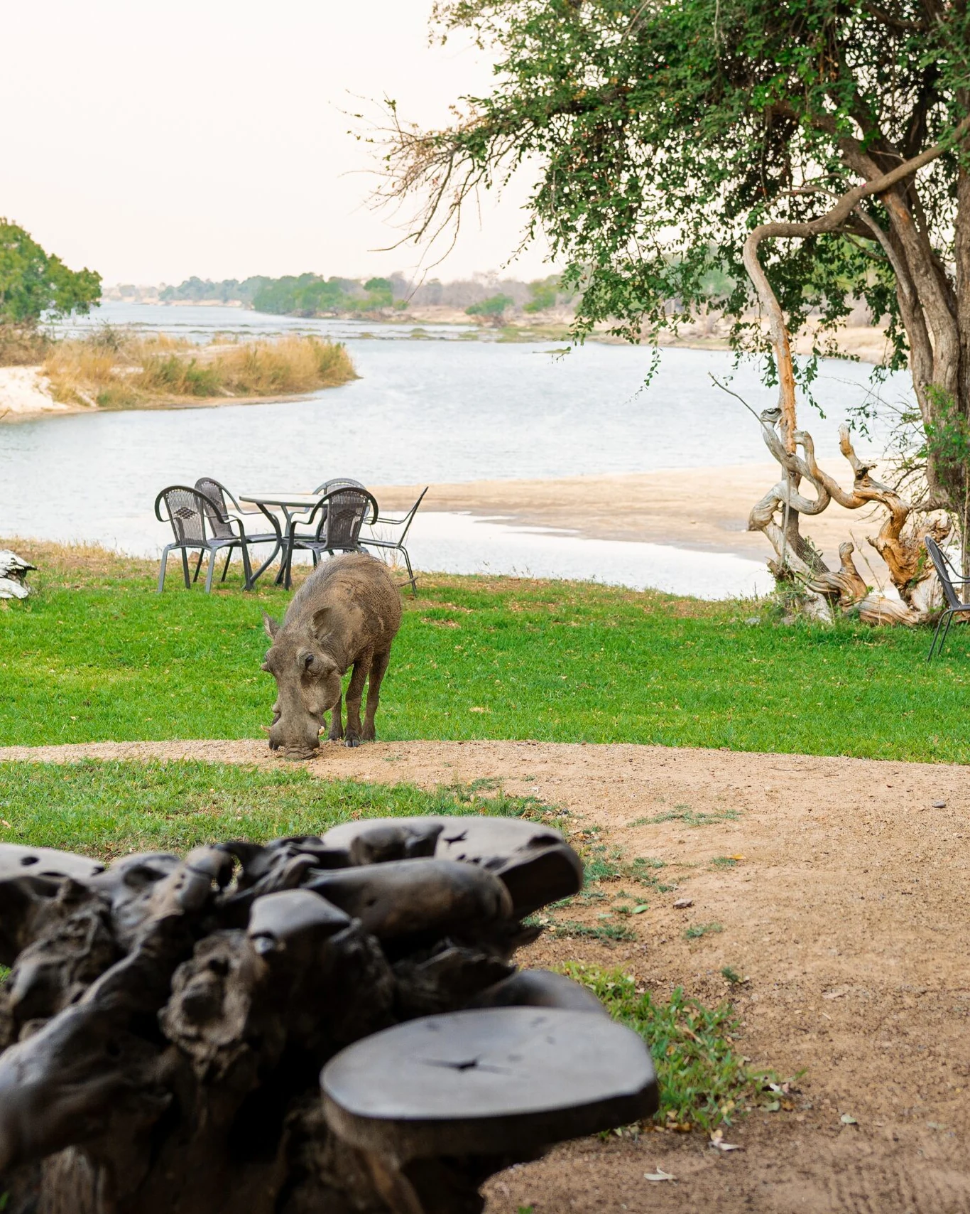 Sian simba river lodge — photograph 5