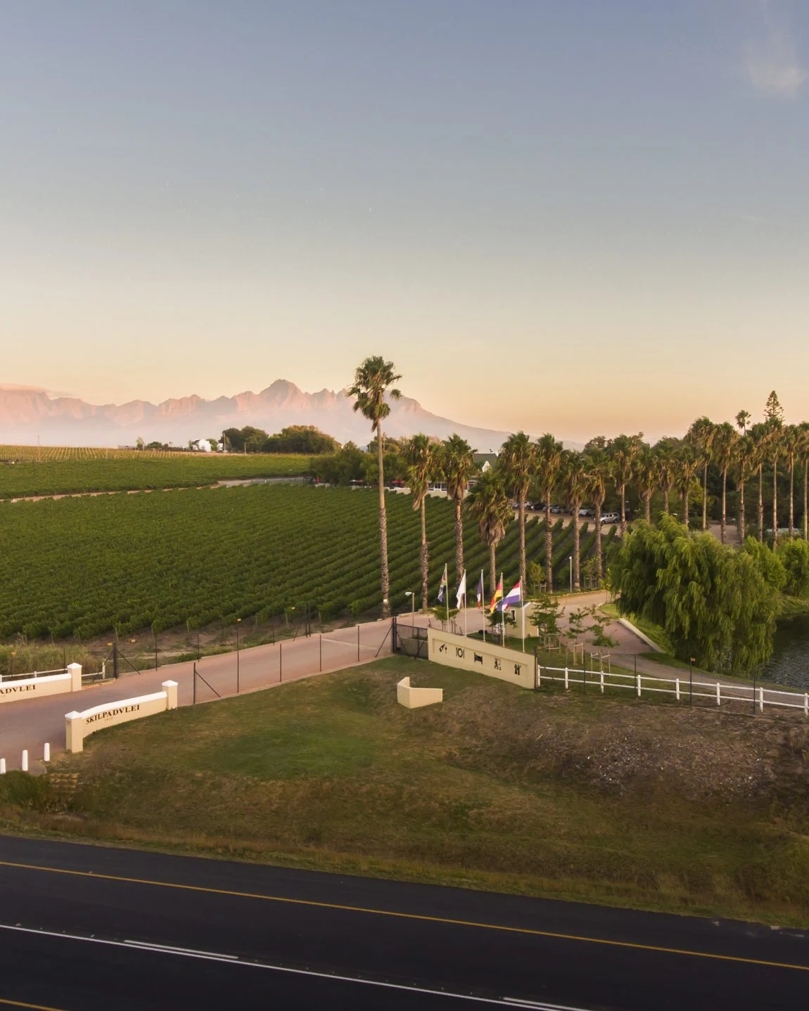 Skilpadvlei Wine Farm — photograph 1