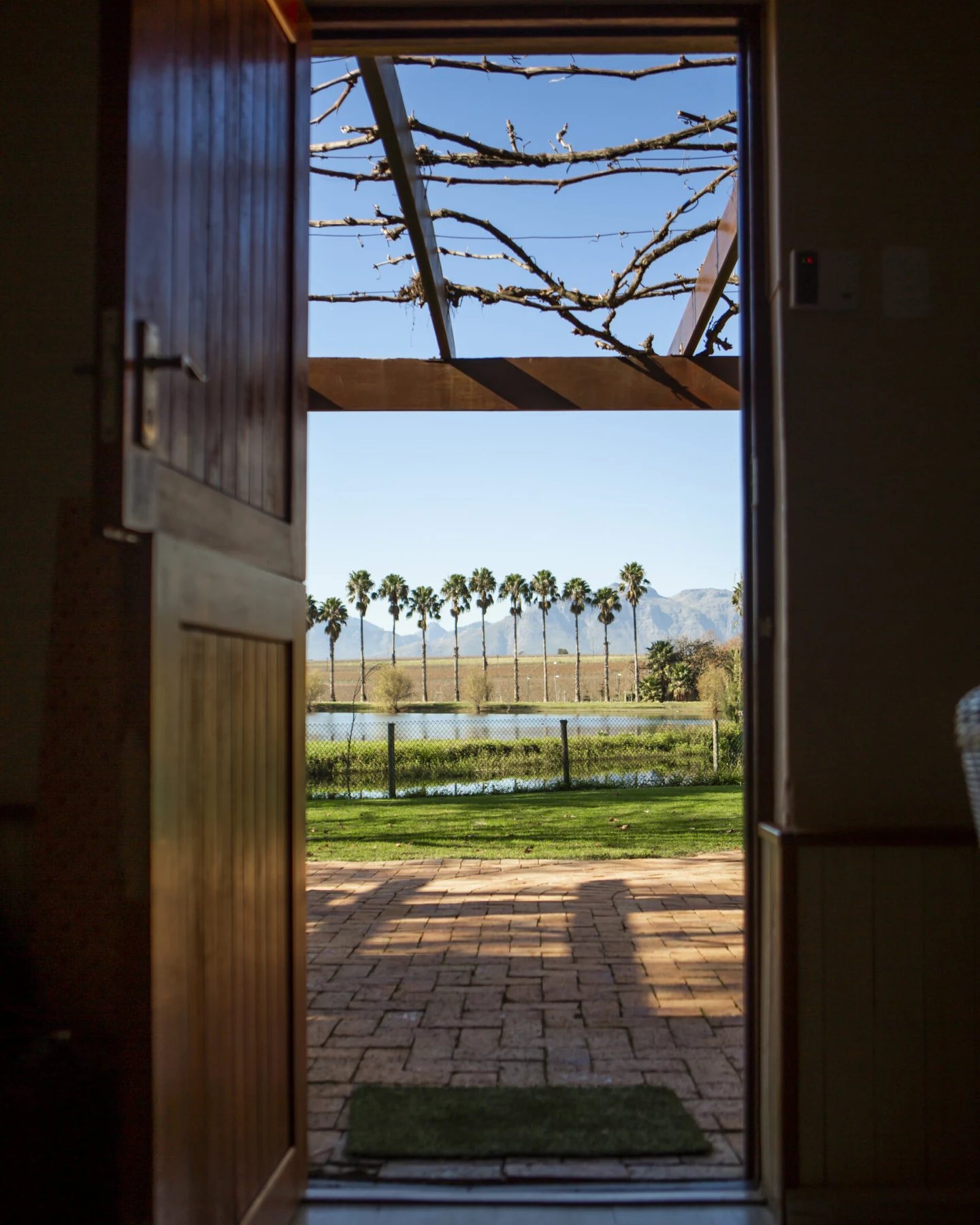 Skilpadvlei Wine Farm — photograph 4