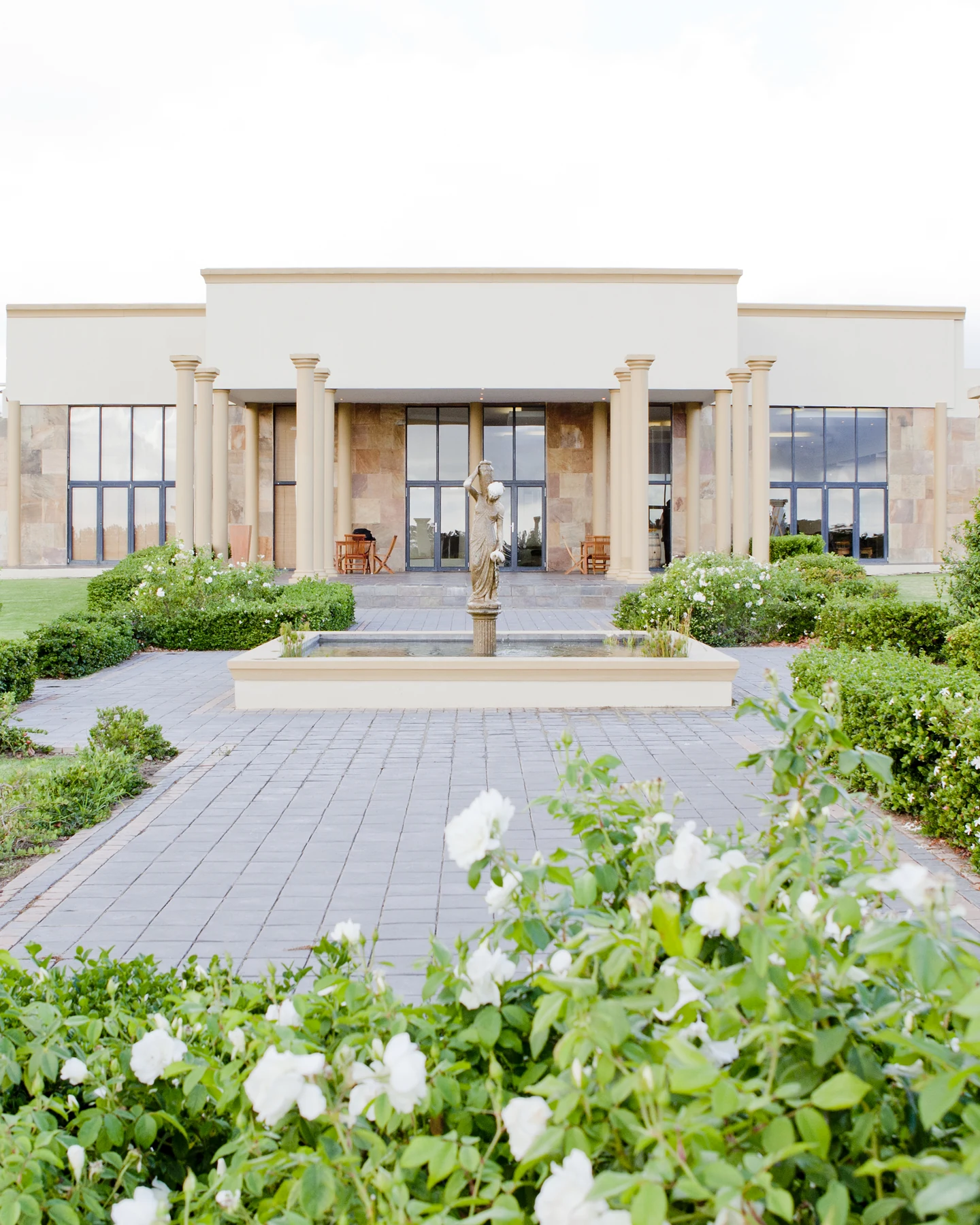 Stellenrust Wine Estate — photograph 1