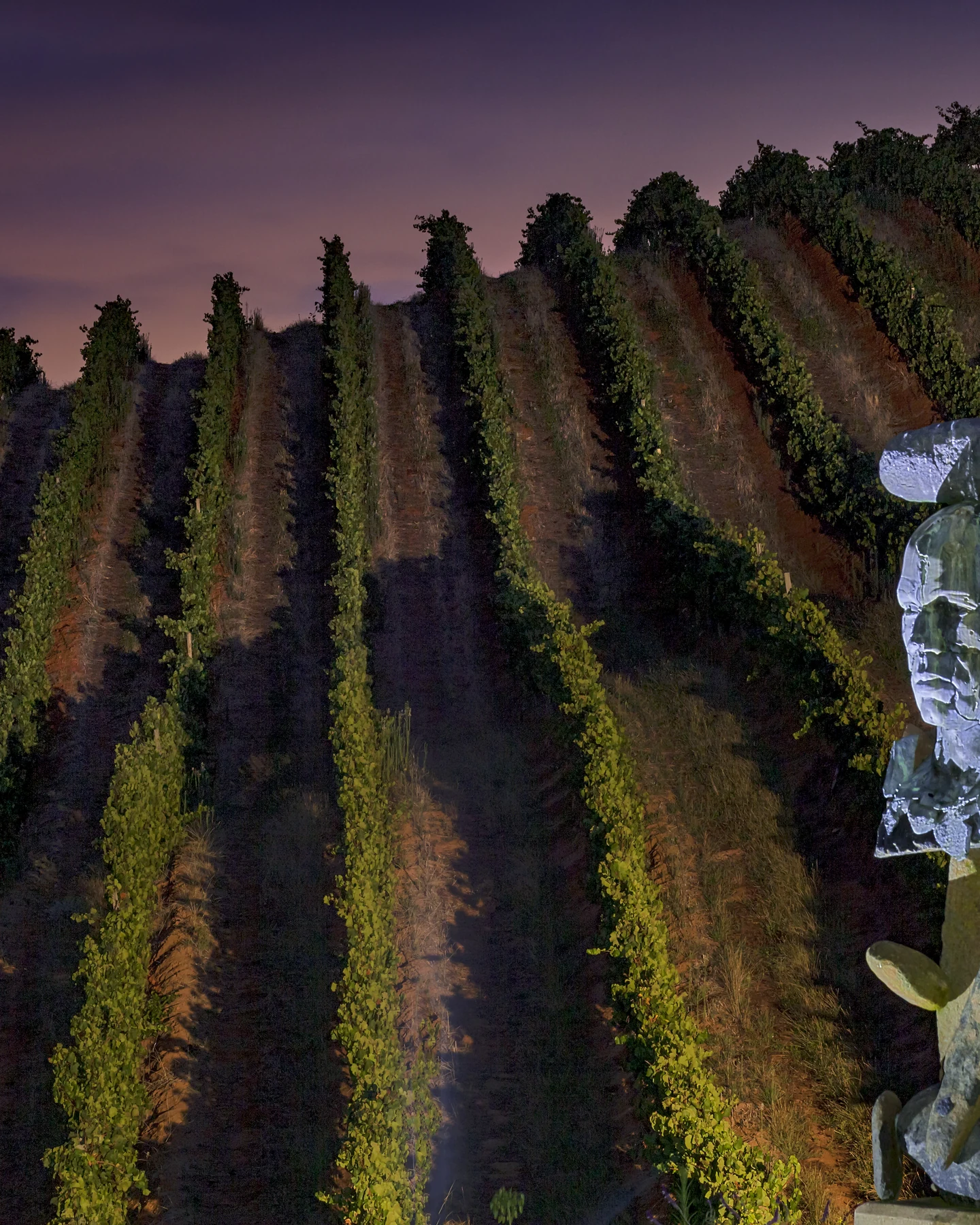 Tokara Wine Estate — photograph 2