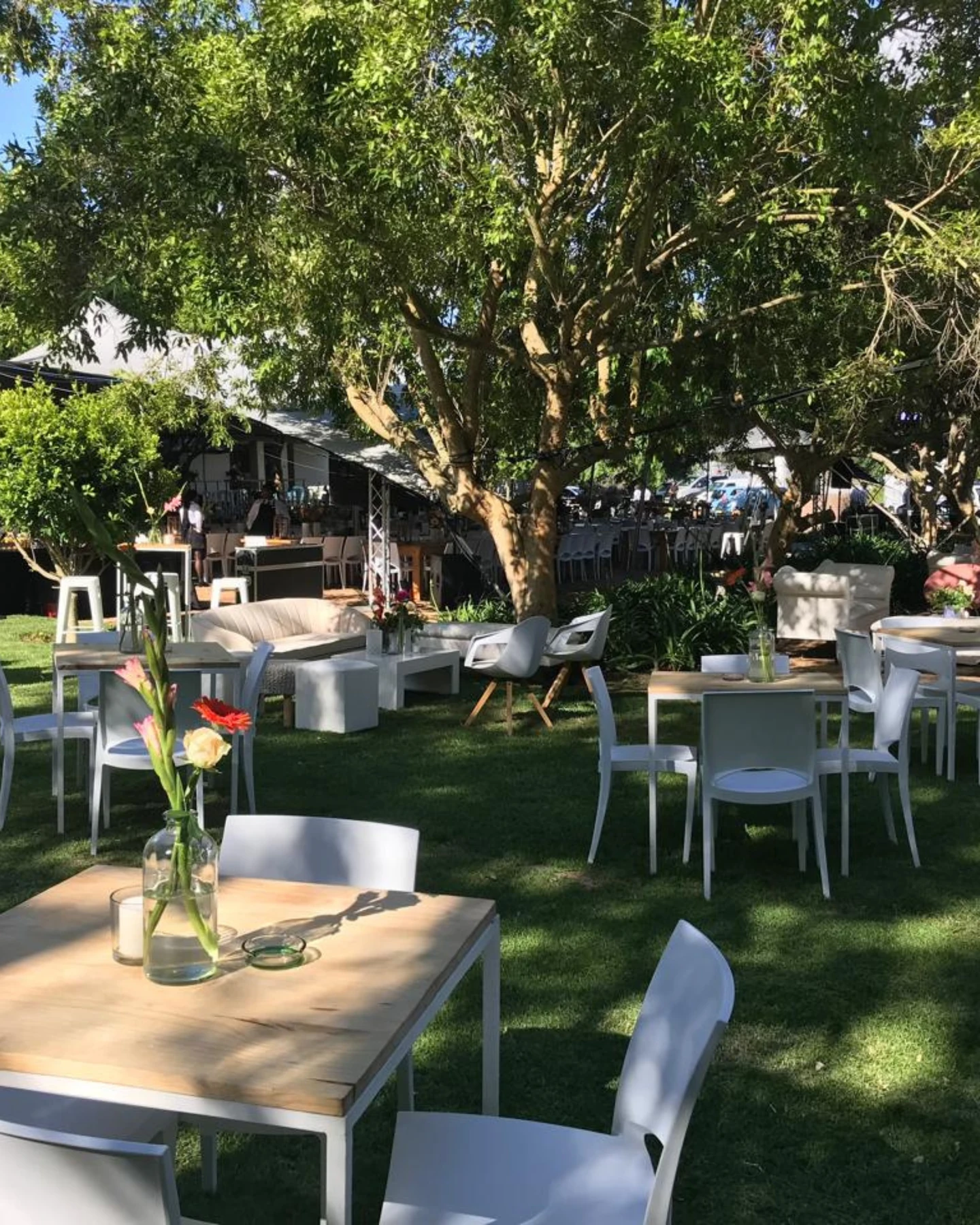 Venue D'Aria — photograph 4