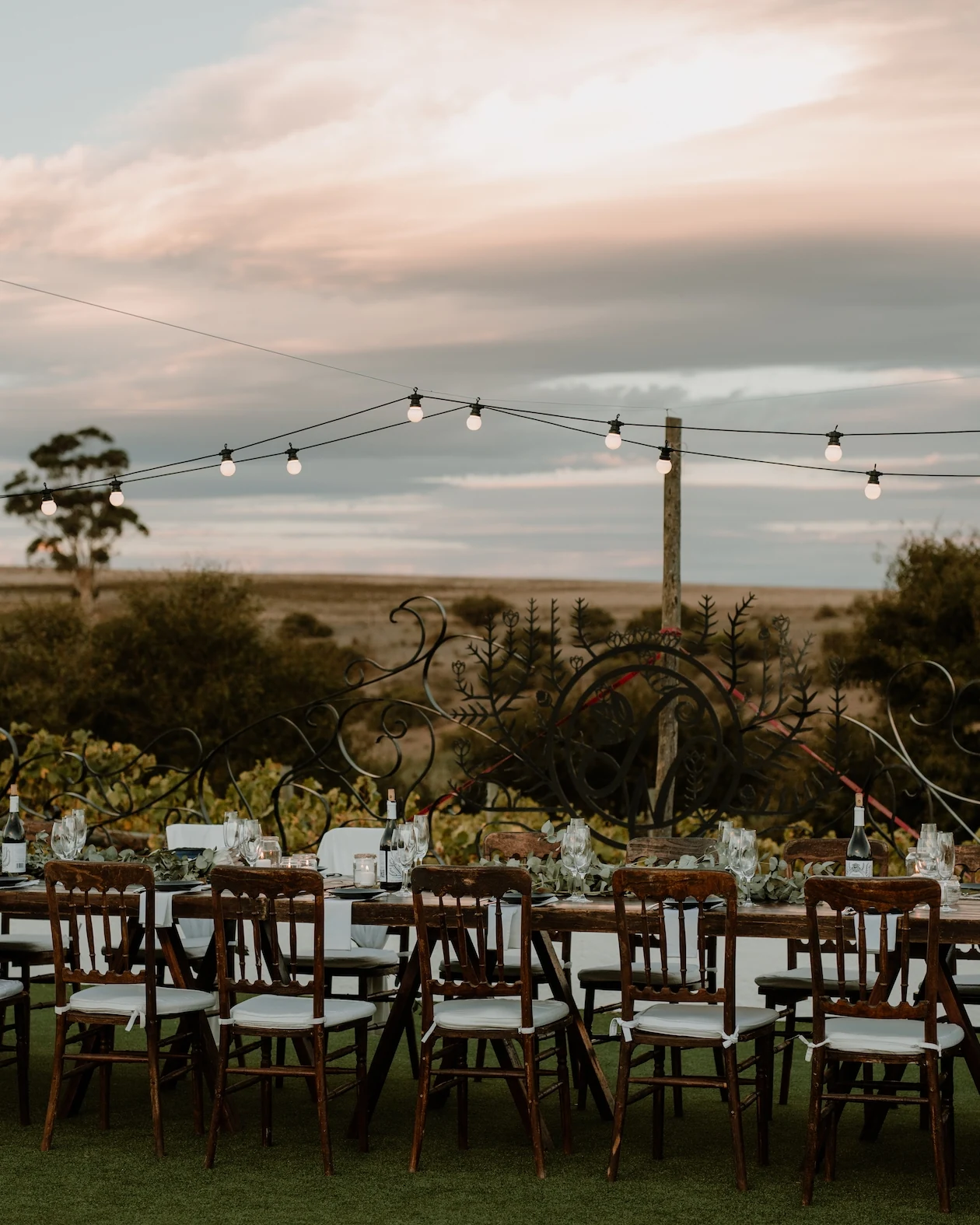 Wildekrans Wine Estate — photograph 3